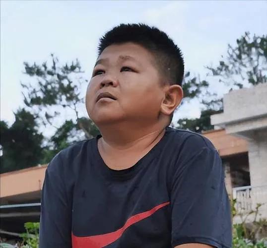 职业生涯概览