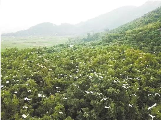 台山vs鹤山篮球直播视频,一场草根篮球的江湖对决,到底该去哪儿看? 台山vs鹤山篮球直播视频,一场草根篮球的江湖对决,到底该去哪儿看?